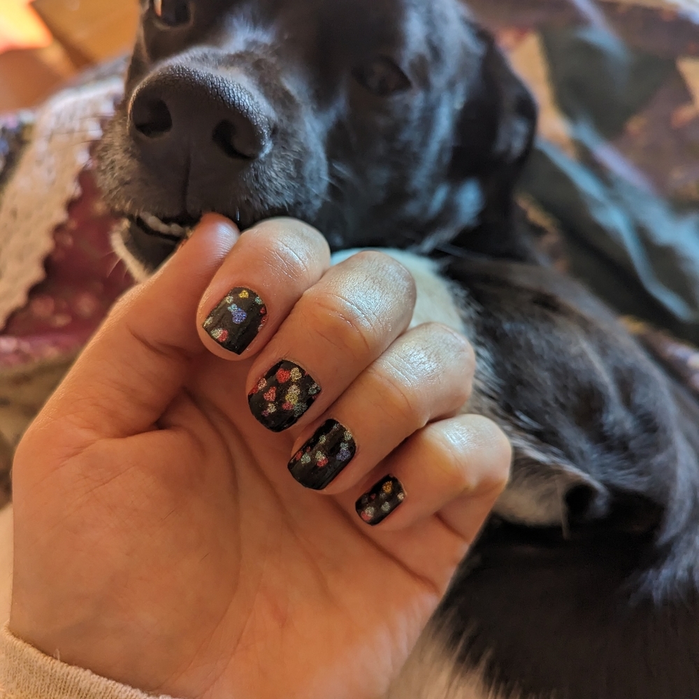 5 for $15 Nail Wraps- Confetti Falling